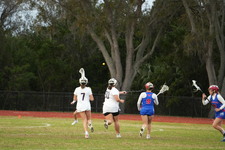 Enlarge photo 473