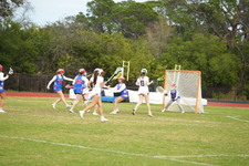 Enlarge photo 524