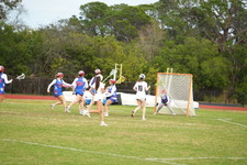 Enlarge photo 525