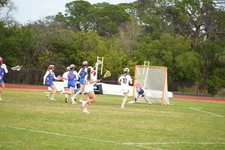 Enlarge photo 526
