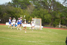 Enlarge photo 528
