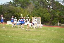 Enlarge photo 532