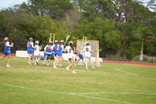 Enlarge photo 533