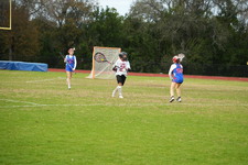 Enlarge photo 591