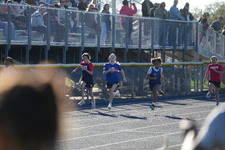 Enlarge photo 129