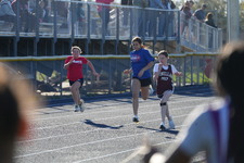 Enlarge photo 131