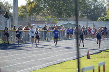 Enlarge photo 159