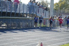 Enlarge photo 215