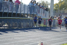 Enlarge photo 216