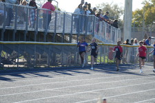 Enlarge photo 218