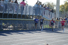 Enlarge photo 219