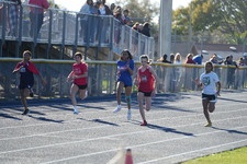 Enlarge photo 226