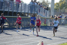 Enlarge photo 231