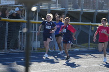 Enlarge photo 237