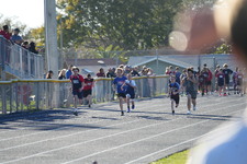 Enlarge photo 331