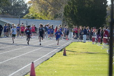 Enlarge photo 333