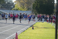 Enlarge photo 335