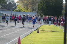 Enlarge photo 336