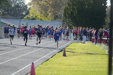Enlarge photo 340