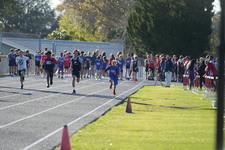 Enlarge photo 338