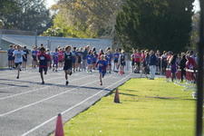 Enlarge photo 339