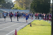 Enlarge photo 341