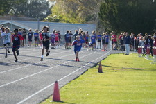 Enlarge photo 343