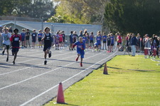 Enlarge photo 345