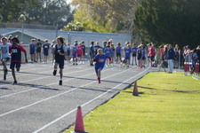 Enlarge photo 348