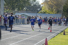 Enlarge photo 378