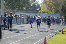 Enlarge photo 379
