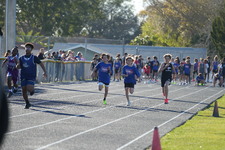 Enlarge photo 381