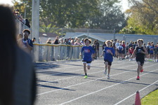 Enlarge photo 386