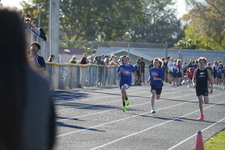 Enlarge photo 387