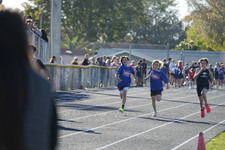 Enlarge photo 388