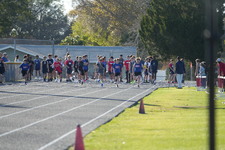 Enlarge photo 391