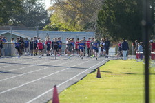 Enlarge photo 392