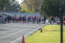 Enlarge photo 396