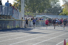 Enlarge photo 410