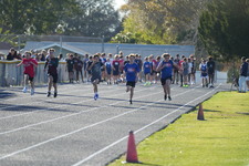 Enlarge photo 422