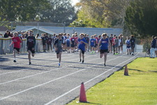 Enlarge photo 423