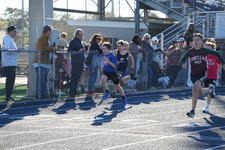 Enlarge photo 455