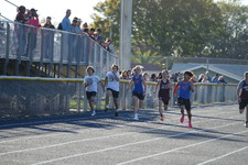 Enlarge photo 519