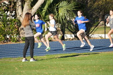 Enlarge photo 549