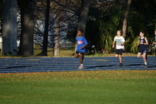 Enlarge photo 618
