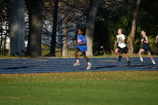 Enlarge photo 619