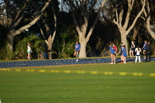 Enlarge photo 714