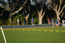 Enlarge photo 717