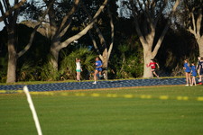 Enlarge photo 721