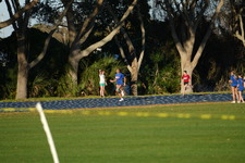 Enlarge photo 723